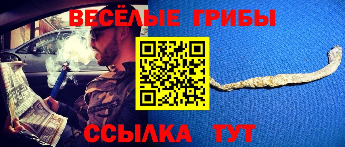 Псилоцибиновые грибы прущие грибы Керчь